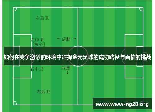 如何在竞争激烈的环境中选择金元足球的成功路径与面临的挑战 如何在竞争激烈的环境中选择金元足球的成功路径与面临的挑战
