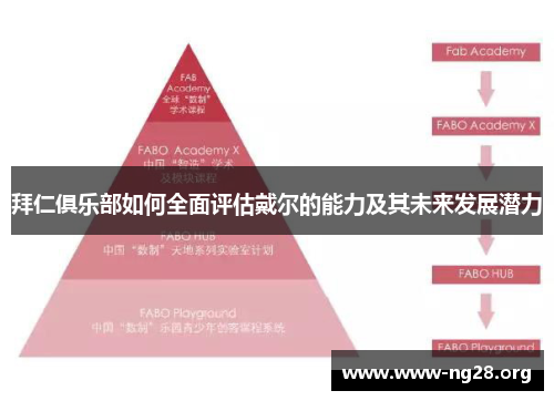 拜仁俱乐部如何全面评估戴尔的能力及其未来发展潜力 拜仁俱乐部如何全面评估戴尔的能力及其未来发展潜力