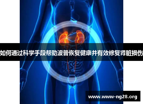 如何通过科学手段帮助波普恢复健康并有效修复肾脏损伤 如何通过科学手段帮助波普恢复健康并有效修复肾脏损伤